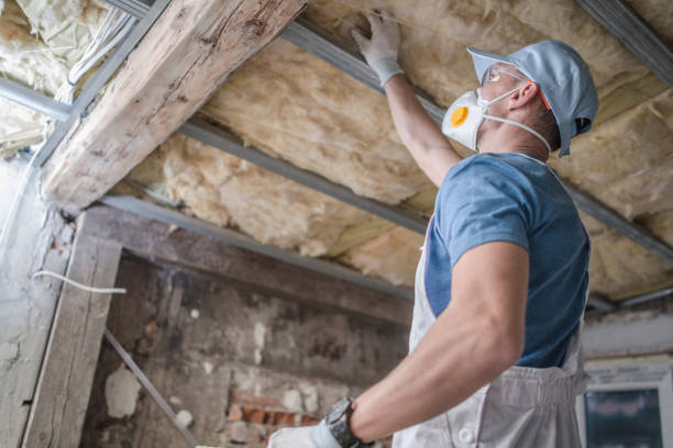 Garage Insulation Installation in Kingsbury, NV